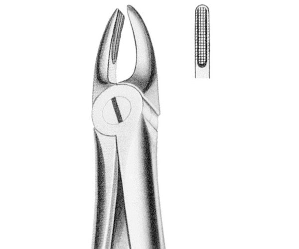 MARTIN E2 forceps upper incisors/canines
