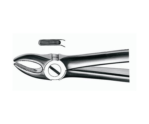 FORCEPS MARTIN E7 premolars sup