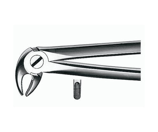 FORCEPS MARTIN E13 lower premolars