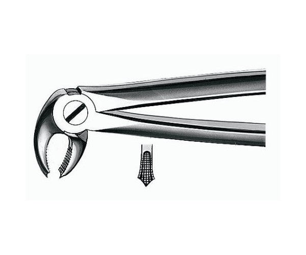 FORCEPS MARTIN E22 molars inf