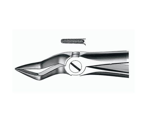 FORCEPS MARTIN E51A arrels sup punta fina