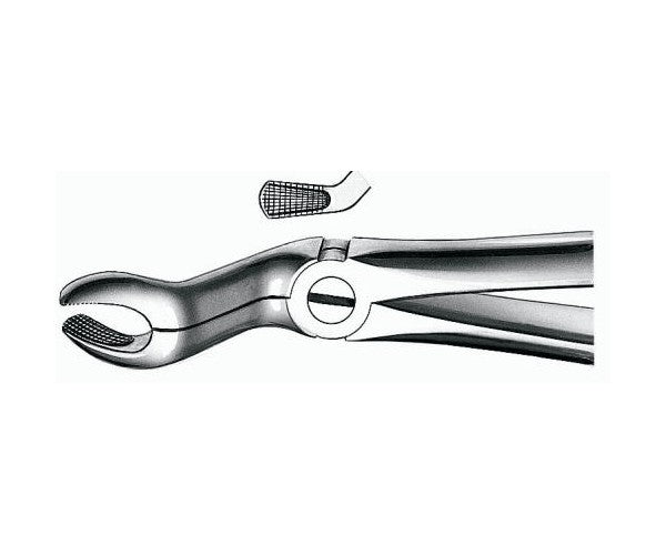FORCEPS MARTIN E67A carenes sup