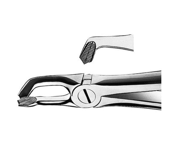 FORCEPS MARTIN E79 carenes inf