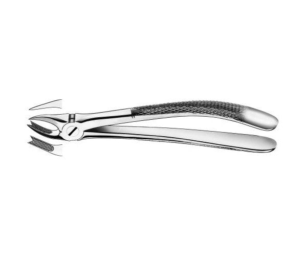 FORCEPS MARTIN 89 molares derechos sup