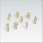 FRASACO JOC DENTS REPOS. AG-3Z