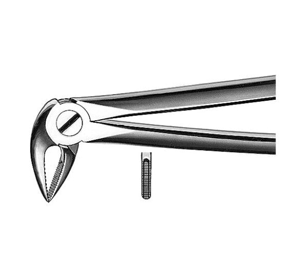 Martin E33A Forceps