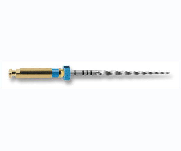 PROTAPER 21 mm S2 limas preparacion 6 ud
