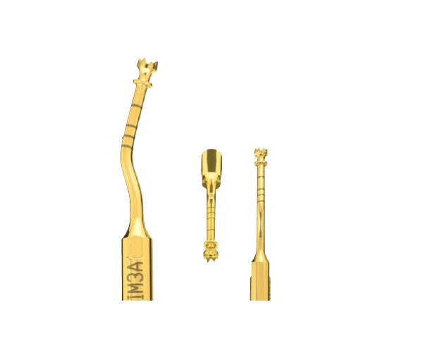 PIEZOSURGERY inserit IM3A