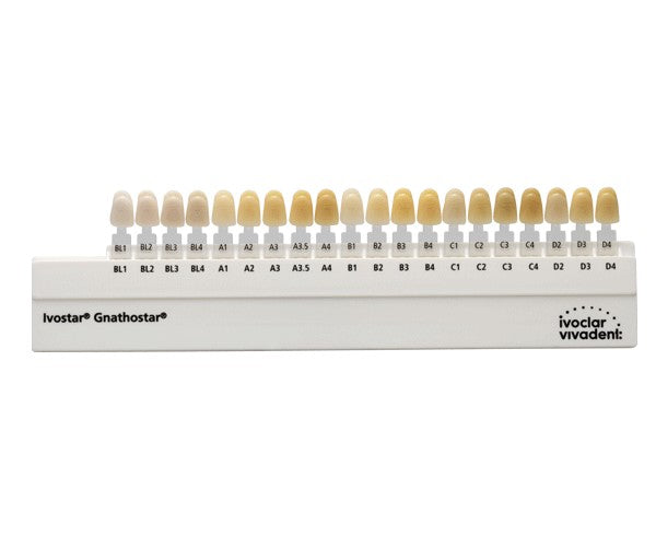 IVOSTAR/GNATHOSTAR AD color guide 21