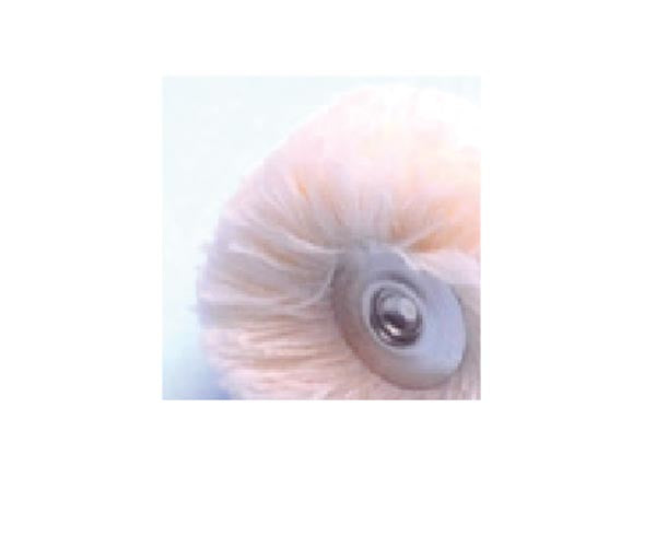 CEPILLO OSBORN borrego 12 ud