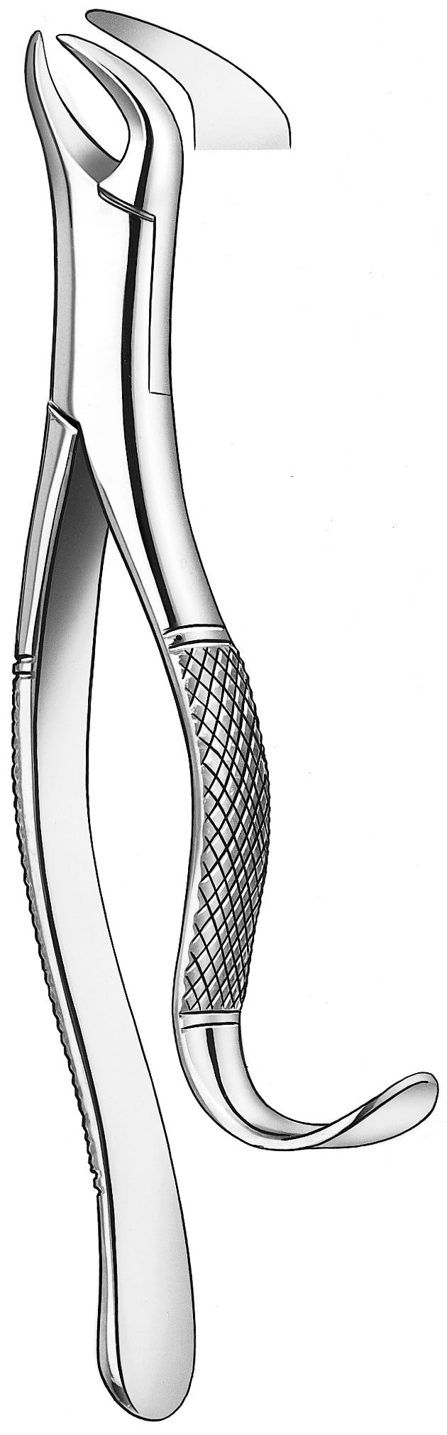 FORCEPS MARTIN 409/16 mod americano molar inf cuerno vaca