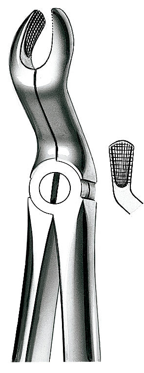 FORCEPS MARTIN 67A mod grande cordales superiores