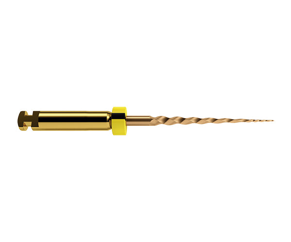 PROTAPER GOLD file 19 mm SX universal 6 pc