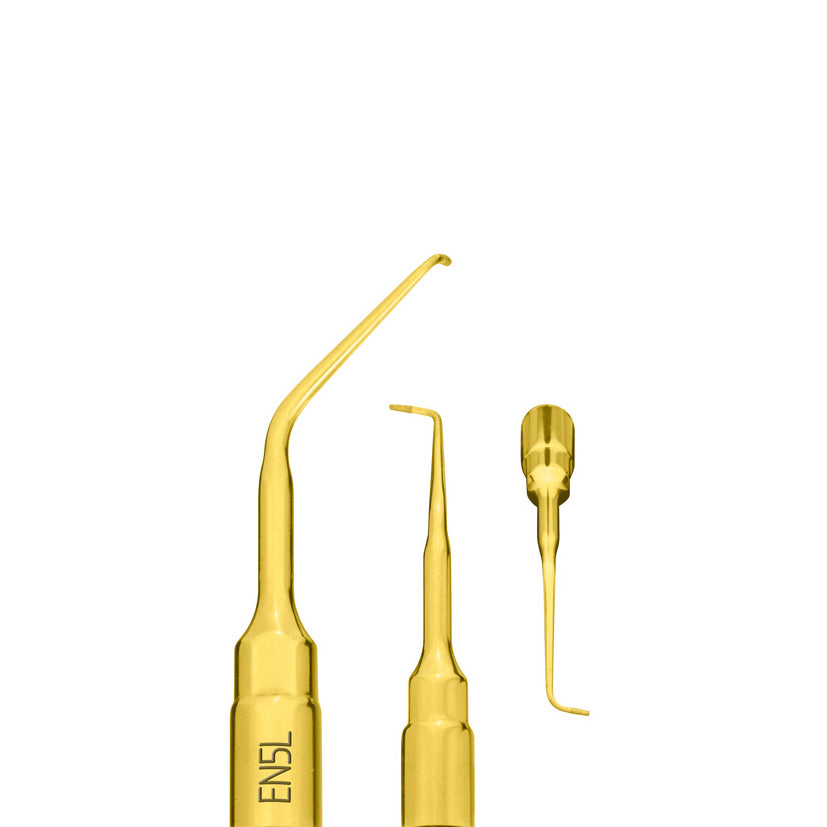 PIEZOSURGERY inserit EN5L