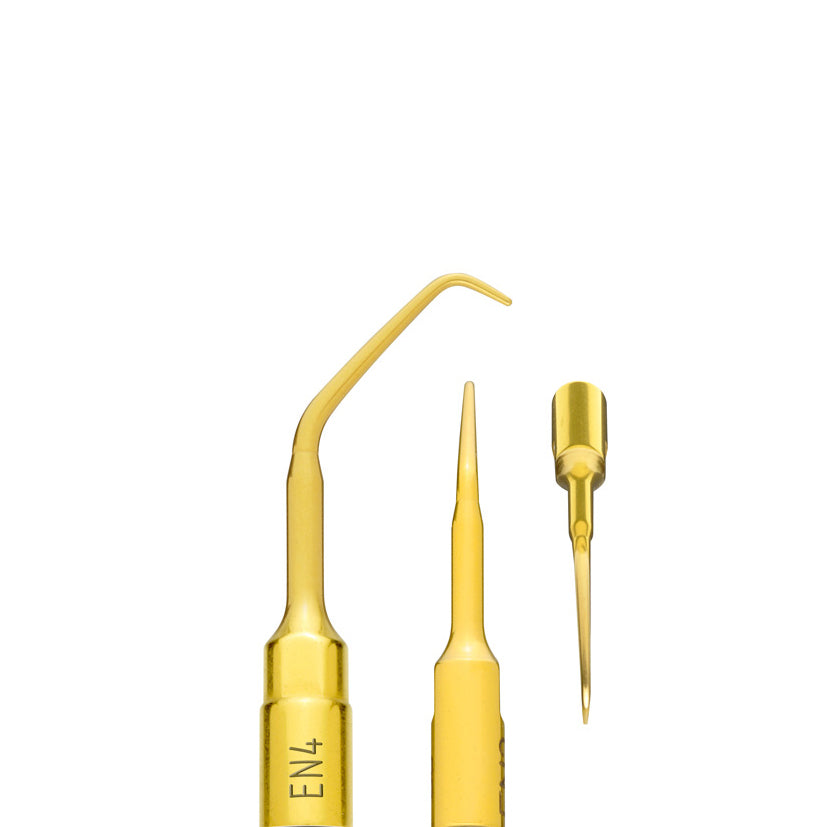 PIEZOSURGERY inserit EN4