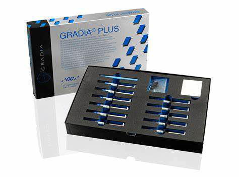 GRÀDIA PLUS one body kit