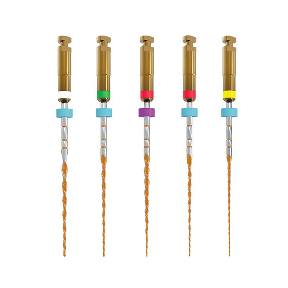 FILE B5 ONE RECI 31 mm 25/06 sterile 5 pc