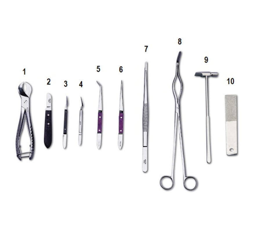 CUCHILLO MESTRA p/escayola pequeño