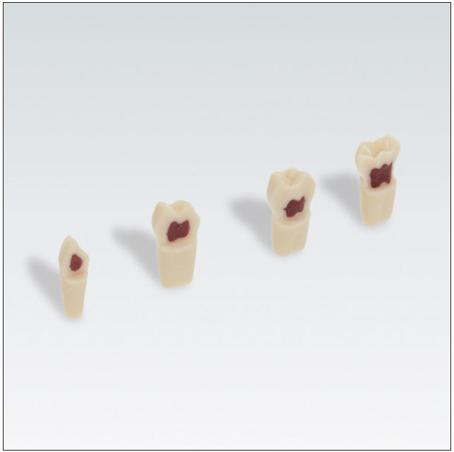 FRASACO AK62ZPUW Nº53 1 ud