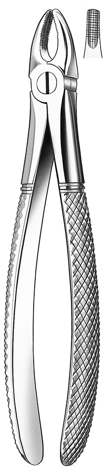 Martin Forceps 37 upper incisors