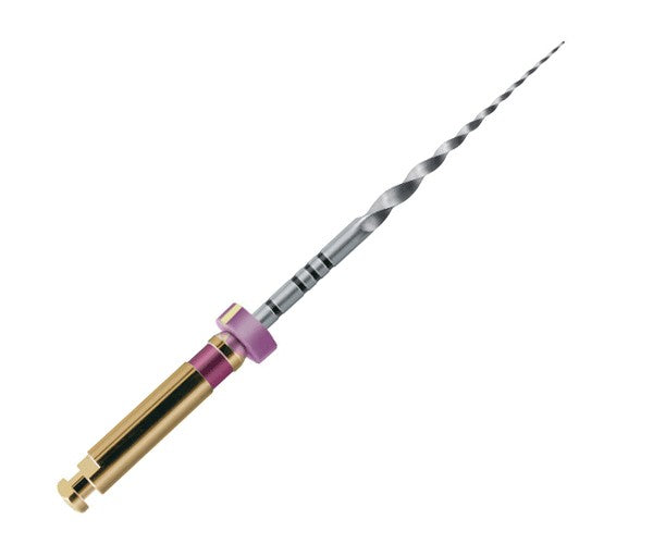 PROTAPER 31 mm S1 limas preparacion 6 ud