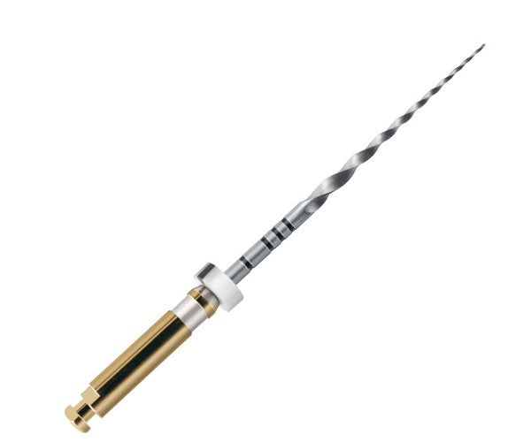 PROTAPER 31 mm S2 llimes preparacio 6 u