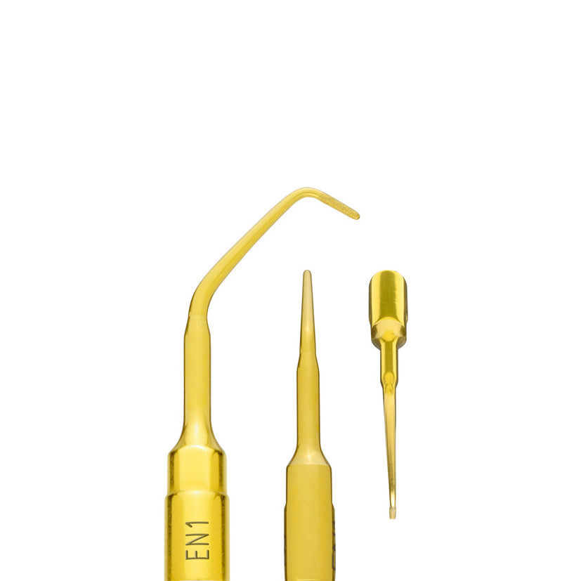 PIEZOSURGERY inserit EN1