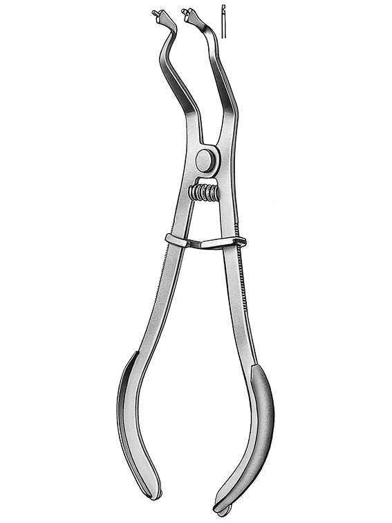 PINÇA MARTIN porta clamp ivory