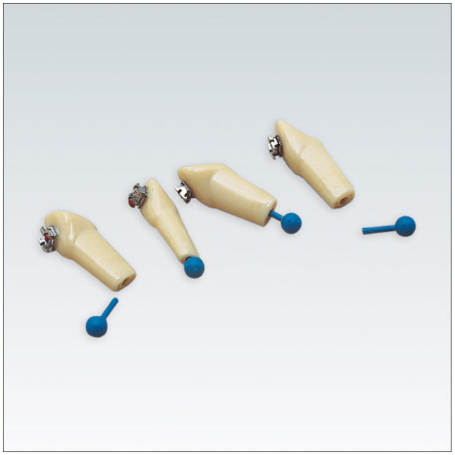 A3K
