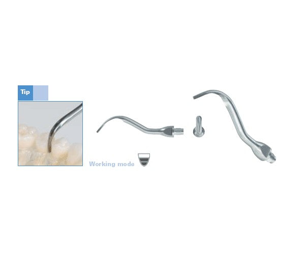 PROPOWER LM puntas ultrasonido PE31