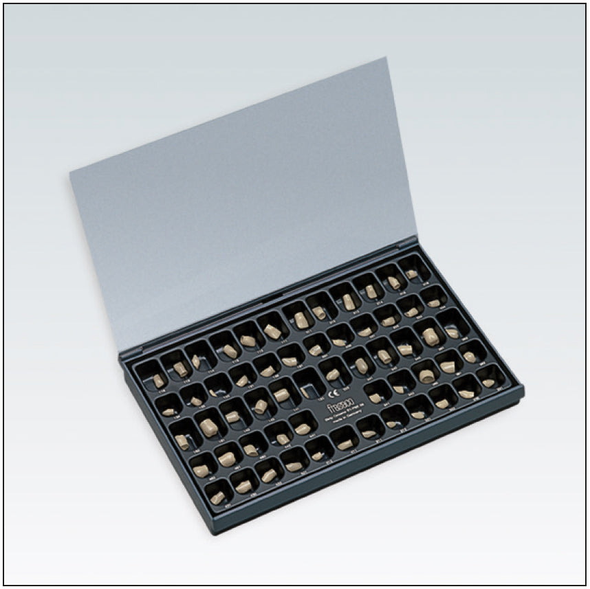 CORONAS STFBE58 ANT/POST. COLOR.SURTIDO X58