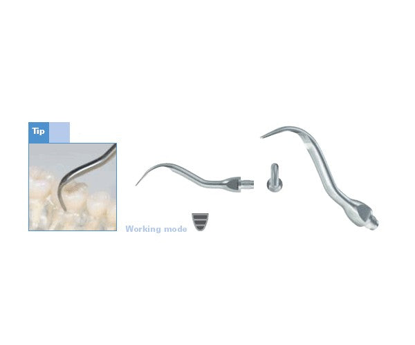 PROPOWER LM puntes ultrasò PE32