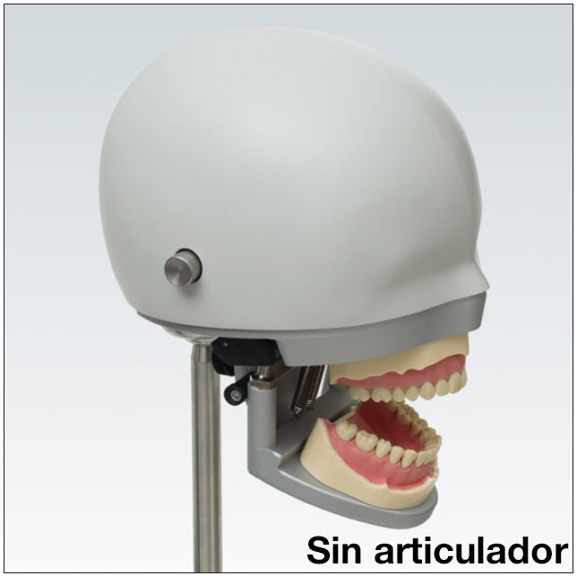 P63OA CAP SENSE ARTICULADOR