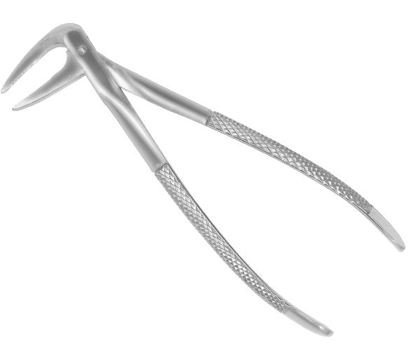 European Forceps HU-Friedy 233 my roots