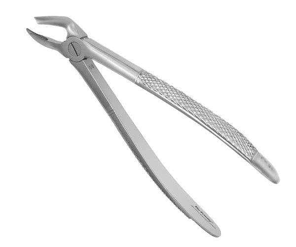 FORCEPS EUROPEU HU-FRIEDY 31 la meva arrels