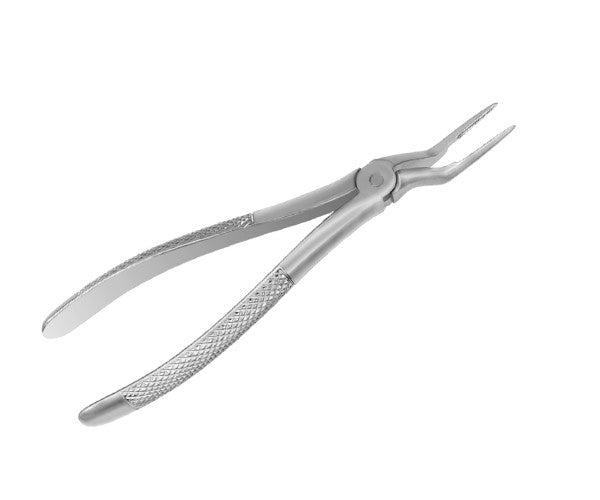 FORCEPS EUROPEU HU-FRIEDY 97 ms arrels