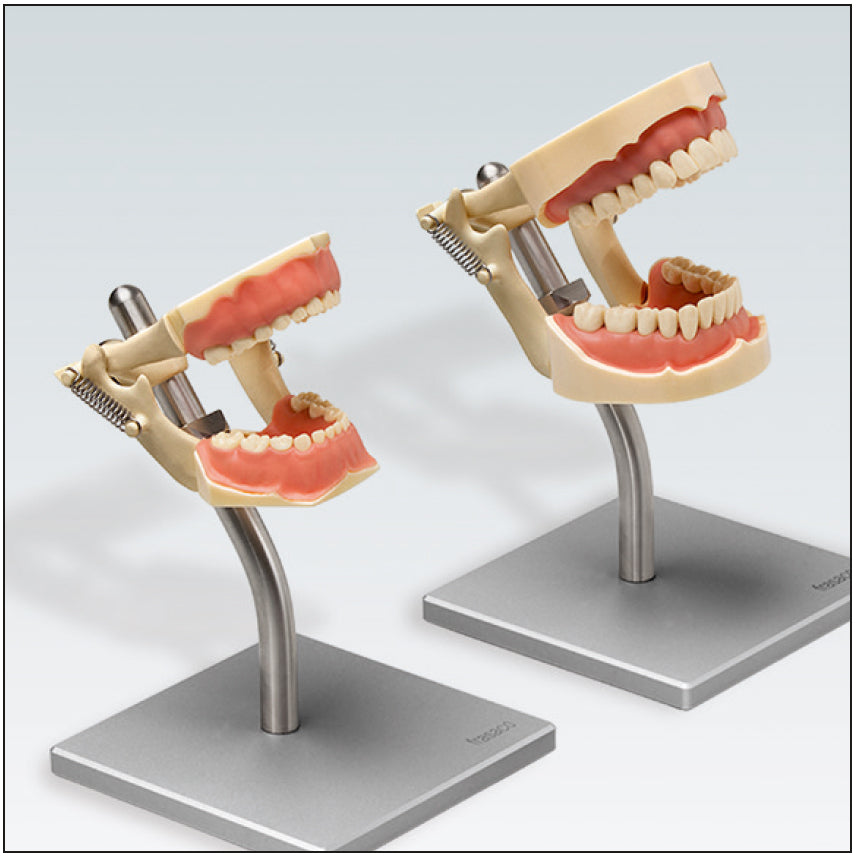 ANA4DAFD16 modelo con articulador y soporte