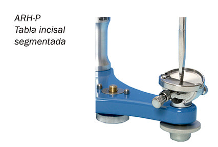 TAULA INCISAL DENTATUS ARH P segmentada