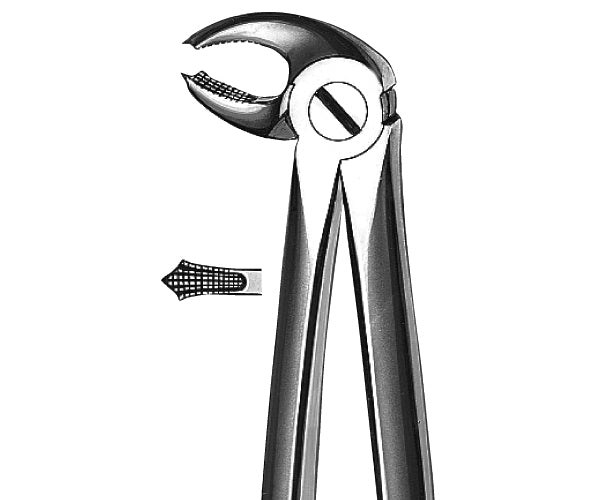 FORCEPS KDM 22 maxil·lar inf molars