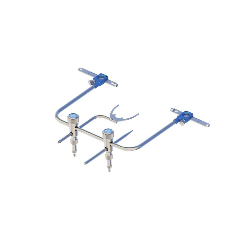 MOLL DENTATUS AEB 7 p/arc facial