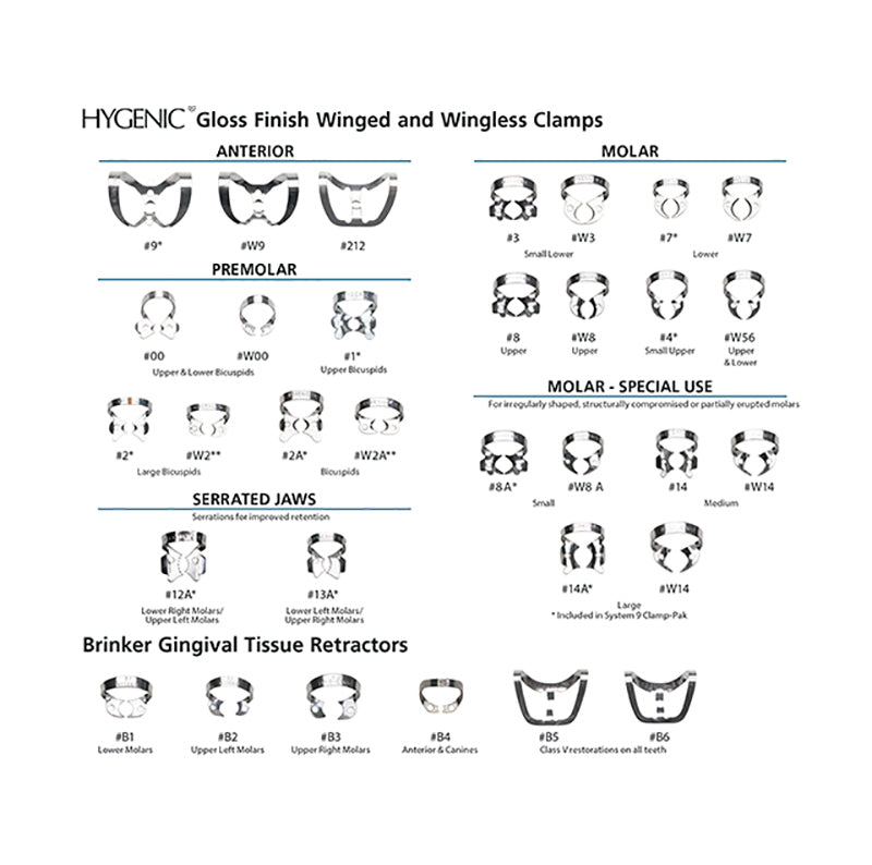 CLAMP HYGENIC #W8 sense ales brillantor p/molar superior