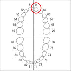 AK6ZE nº 61 1 ut