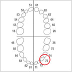 AK6ZE nº 73 1 ut