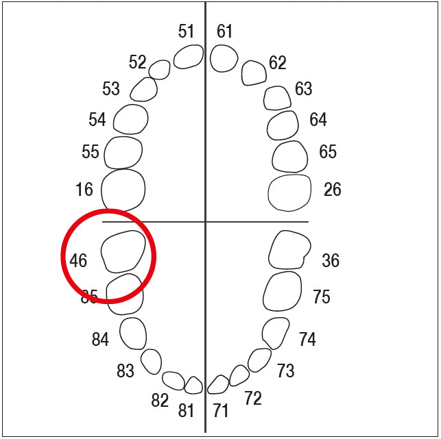 AK6ZE nº 46 1 ut