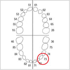 AK62ZE nº 73 1 ut