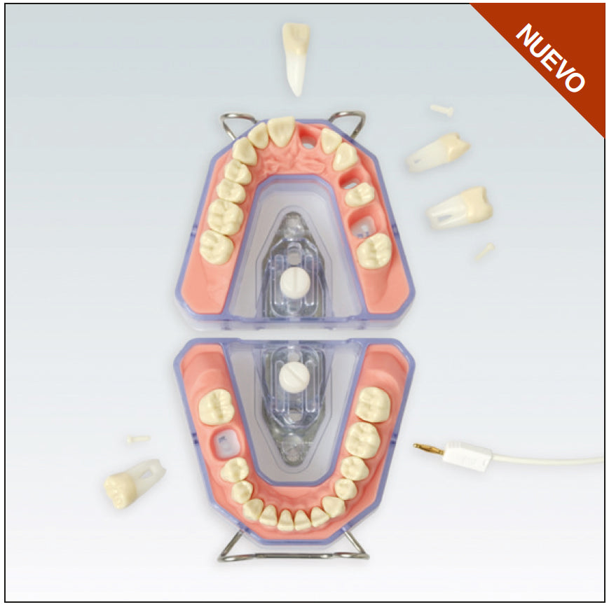 X-RAY MODEL ARE for fixing plates and extracts