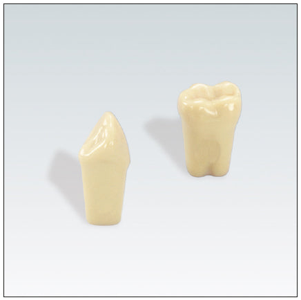 A3ZE010 nº 48 dientes 10 ud