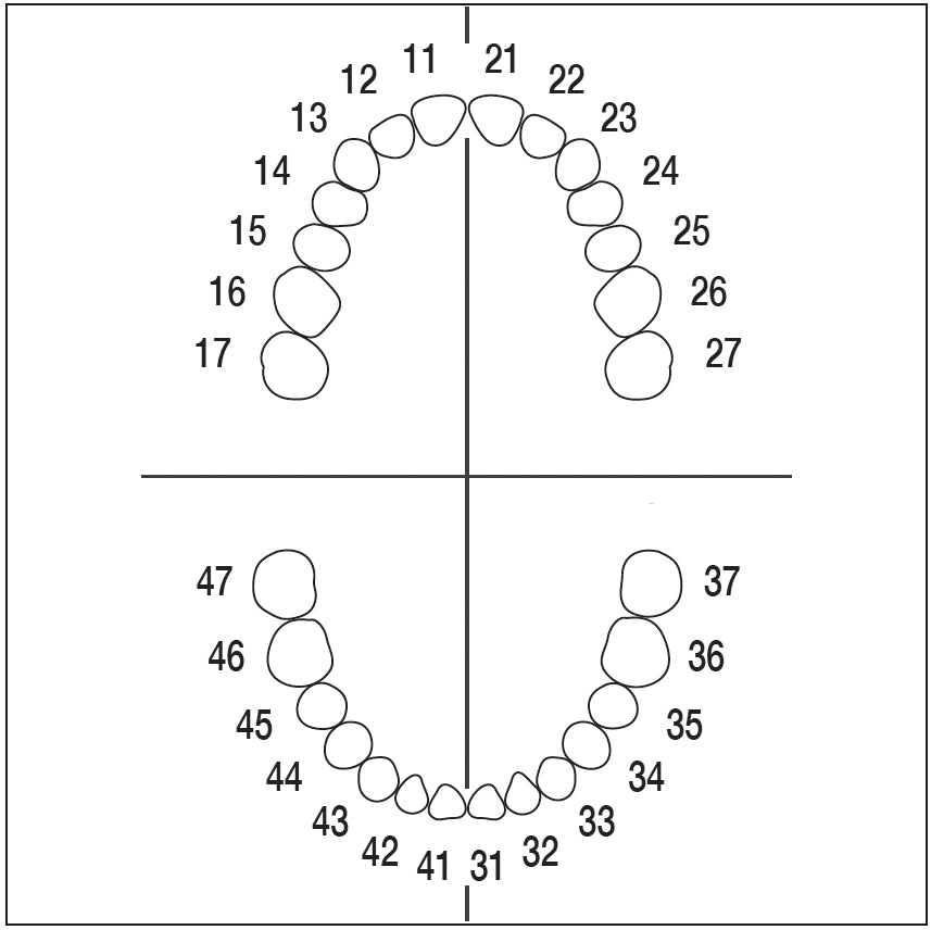 ANA4ZE010 nº 25 dientes 10 ud