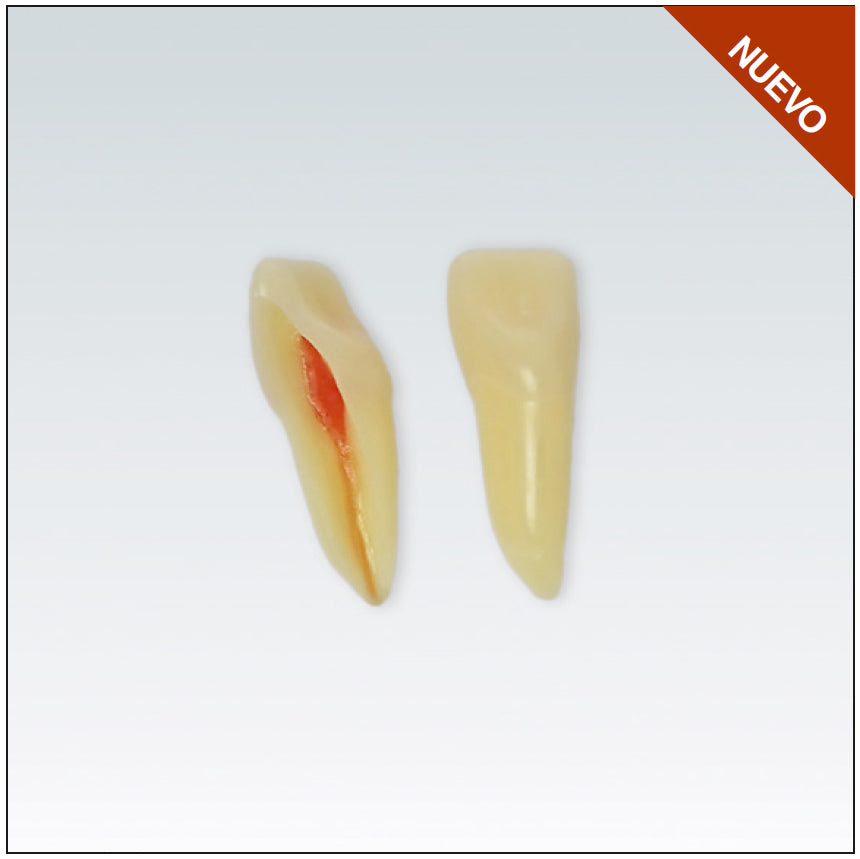 ANA4Z3RN11 diente endo c/raiz natural, apto RX, 3 capas nº11