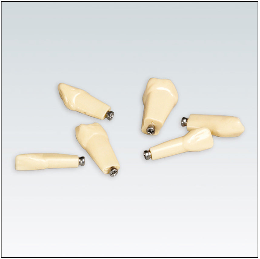 ANKA4ZE010 Nº 24 10 ud